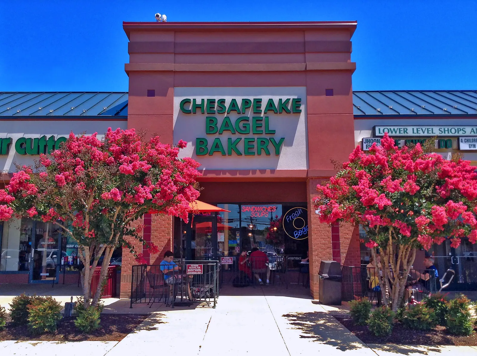 Chesapeake Bagel Bakery in the Lee-Harrison Shopping Center on North Harrison Street, with crape myrtles in bloom.