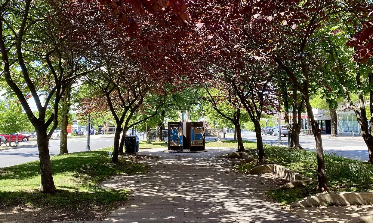The tree-lined walk through Clarendon Central Park, the center of Clarendon Day, on Wilson Boulevard in Arlington.