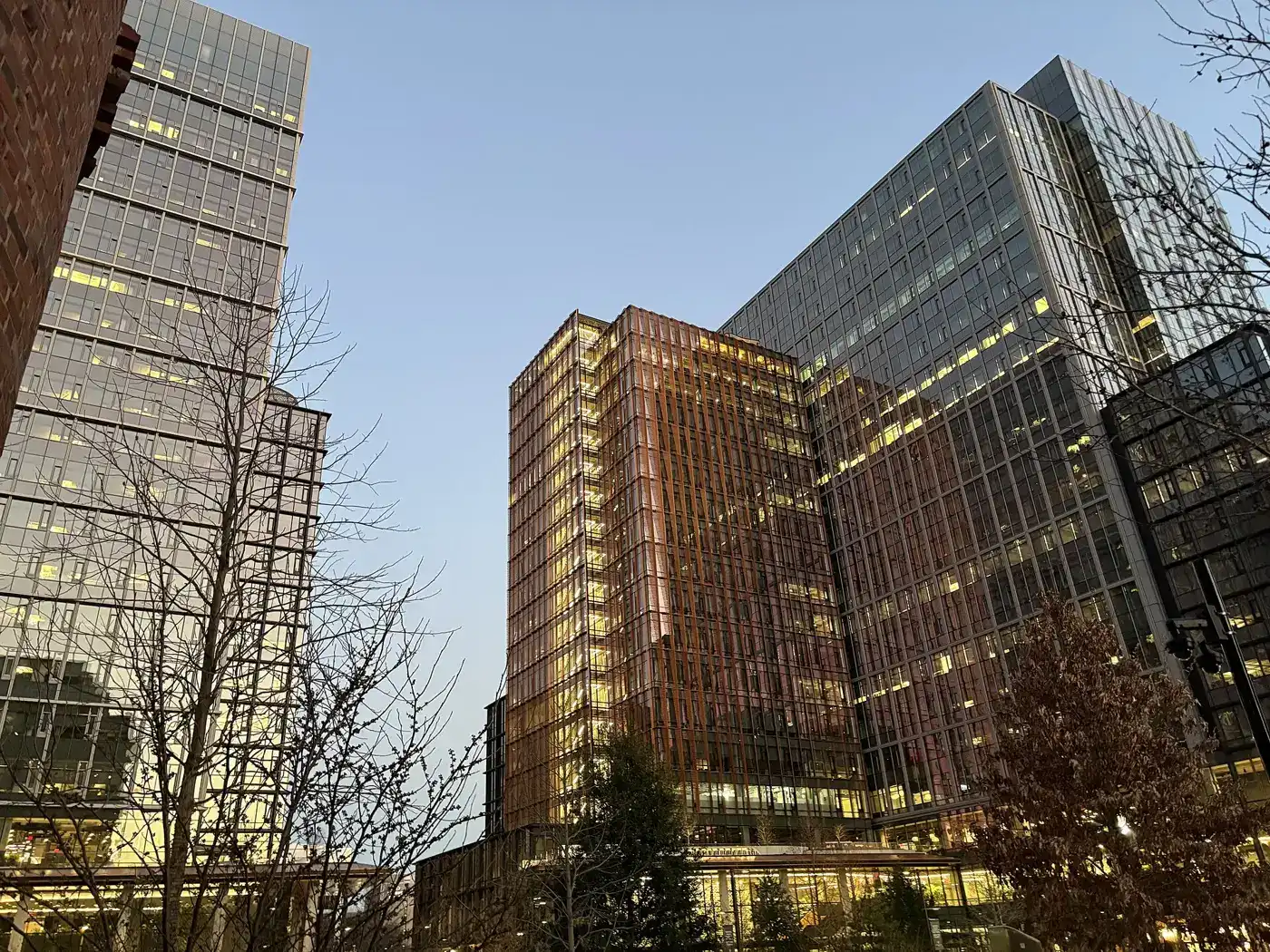Amazon's HQ2 office towers seen from Metropolitan Park in Pentagon City, a few blocks from the school's South Eads Street address.