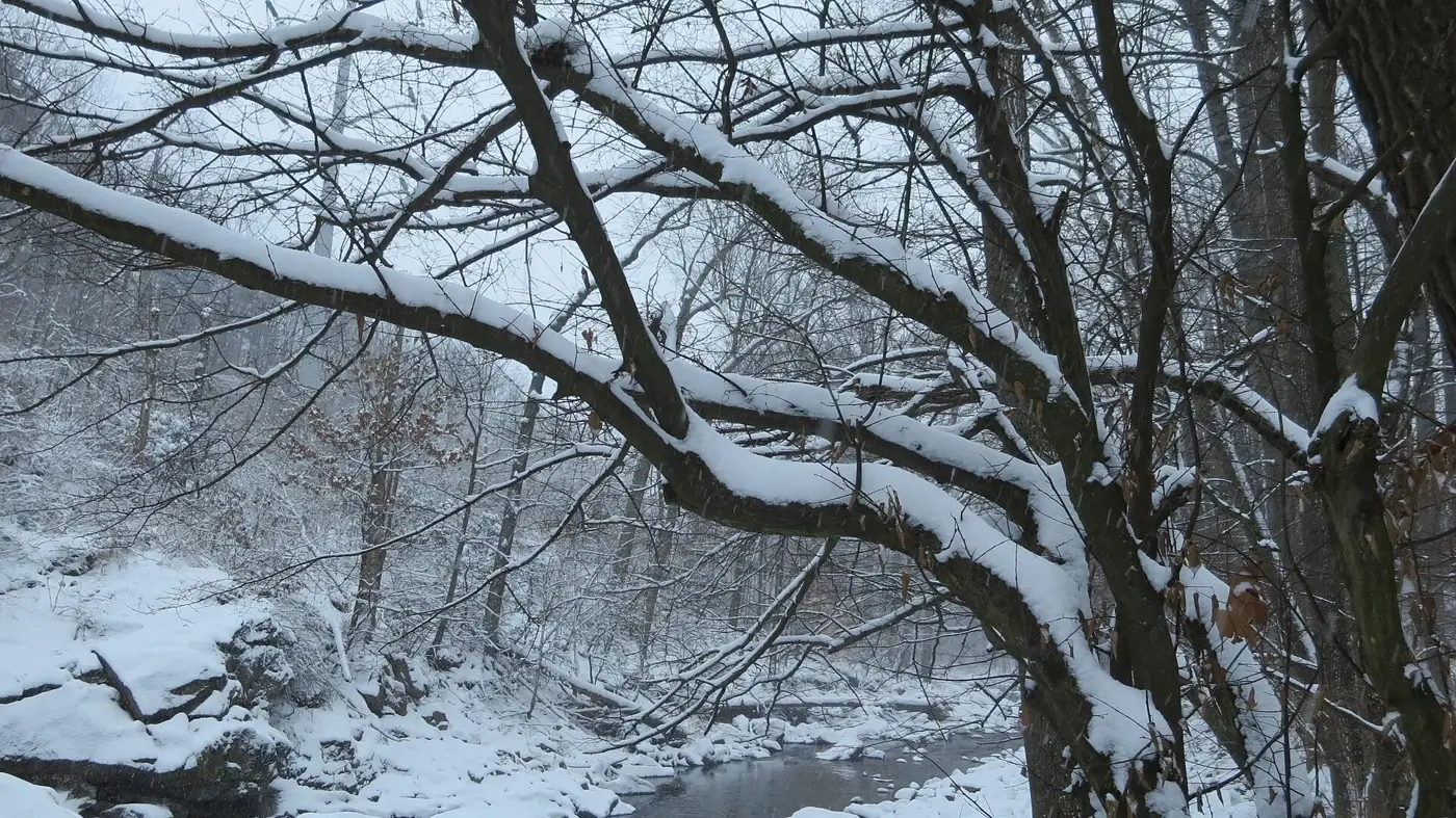 Four Mile Run in the snow, about a third of a mile west of Barcroft Elementary and inside its attendance zone.